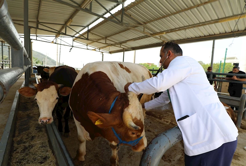 Bakan Yumaklı: 3 kesimhanenin onayı iptal edilerek faaliyeti sonlandırıldı