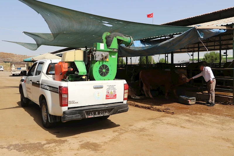 Kurban satış yerleri ve mezbahalarda ilaçlama çalışmaları tamamlandı