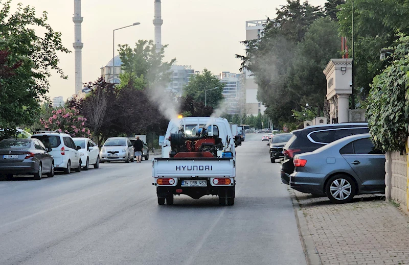 Küçükçekmece’de sivrisineklere karşı ilaçlama çalışmaları hızlandırıldı