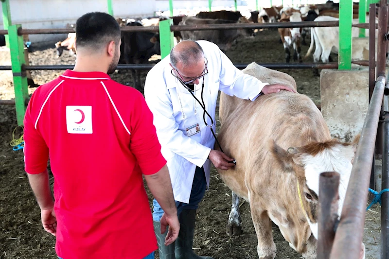 Türk Kızılay yurt içinde ve 19 ülkede kurban kesimlerine başladı