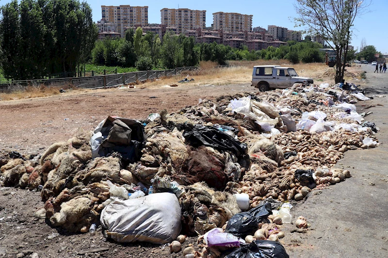 Gaziantep’te, yol kenarlarına atılan yüzlerce kurban derisi ve atık tepki topladı