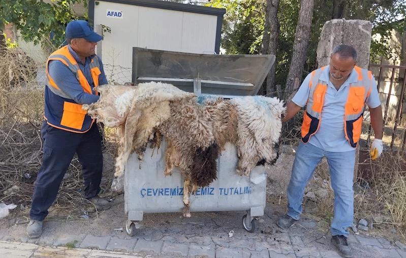 İslahiye’de 245 ton kurban atığı toplandı