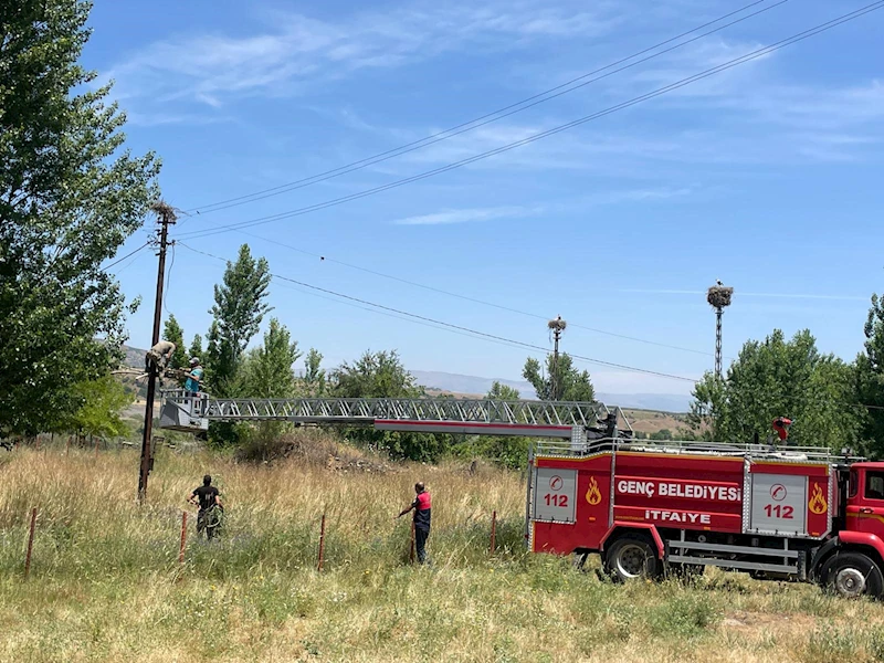 Rüzgarda yıkılan yuvayı onarıp, düşen yavru leylekleri itfaiye aracıyla yerine koydular