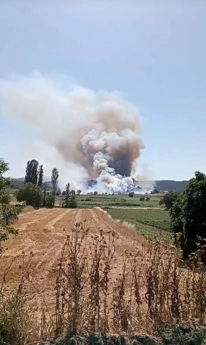 Çanakkale’de orman yangını/ Ek fotoğraflar