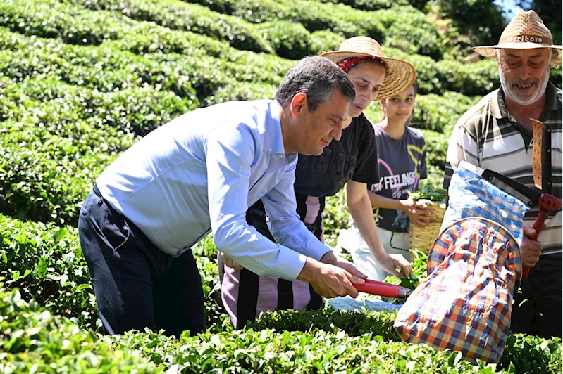 CHP Genel Başkanı Özgür Özel, Rize