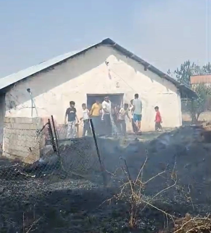 Diyarbakır’da dökülen samanlar yandı, alevler çiftliğe sıçramadan söndürüldü