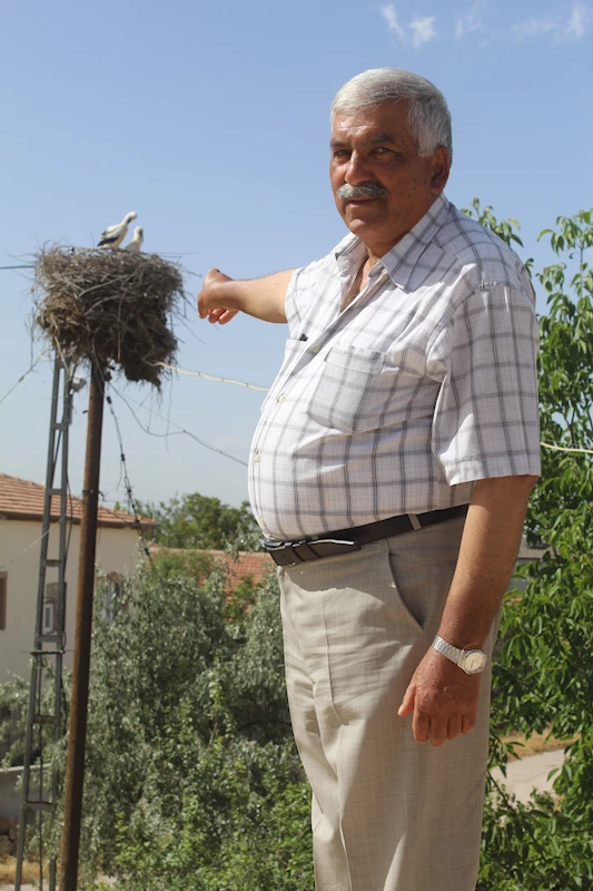 Ömrünü tamamlayan elektrik direği, 40 yıldır leyleklere yuva oluyor