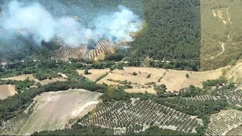 İzmir’deki orman yangını 20 saat sonra kontrol altına alındı