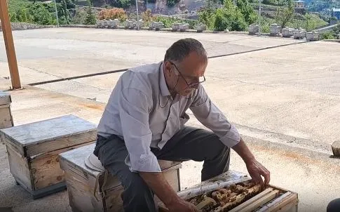 Artvin Arıcıları Uyarıyor: Destek Gelmezse Arıcılık Tehdit Altında!