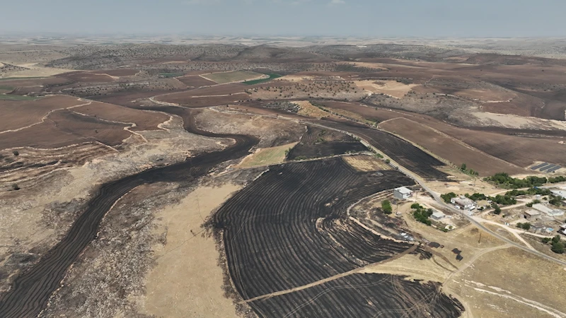 Diyarbakır- Mardin sınırındaki yangında bilirkişi raporu: Yangın, elektrik direğinden kopan 