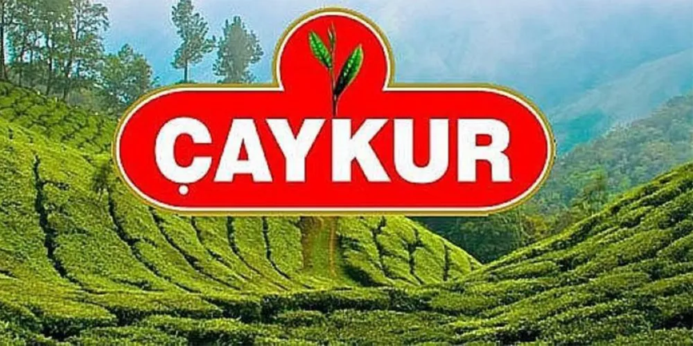 ÇAYKUR 2024 Yılı 2. Sürgün Yaş Çay Alım Kampanyasını Başlatıyor