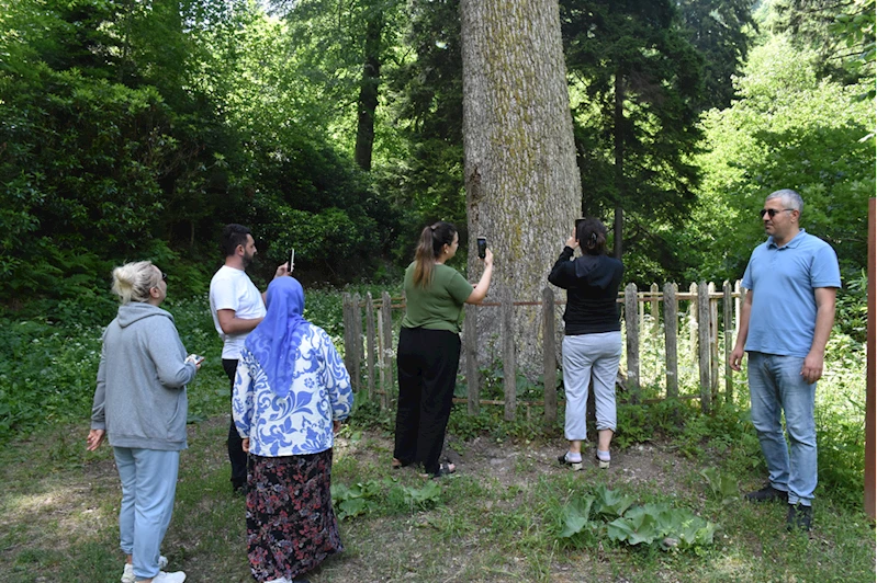 Örümcek Ormanları ziyaretçilerine doğayla iç içe vakit geçirme imkanı sunuyor