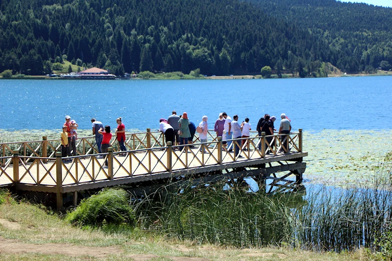 Bolu’da, ormanlara giriş ile milli park ve tabiat parklarında mangal yakmak 1 Temmuz