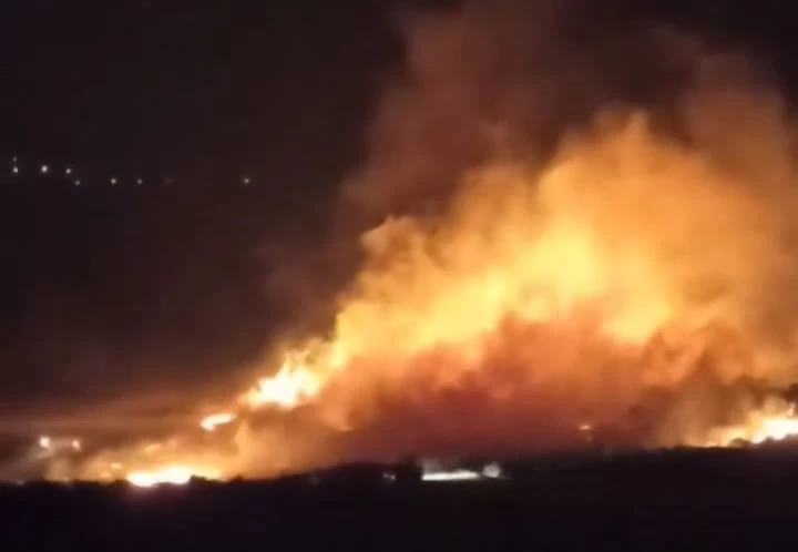 Gaziantep’te, anız yangınında 110 zeytin ağacı zarar gördü