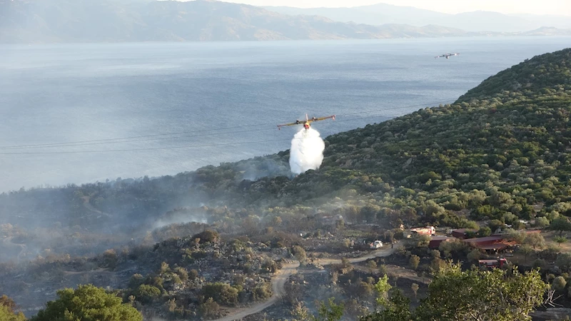 Manisa’da orman yangını (2)