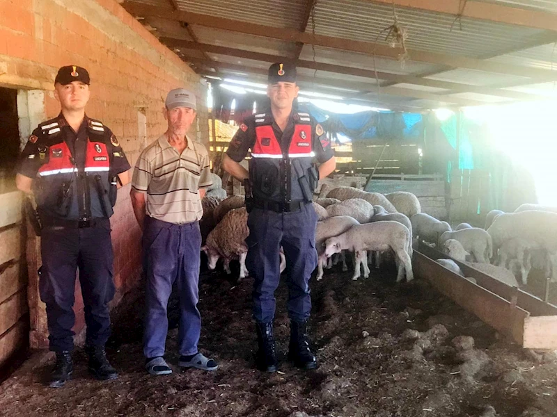 Kayıp sürüyü jandarma dronla buldu