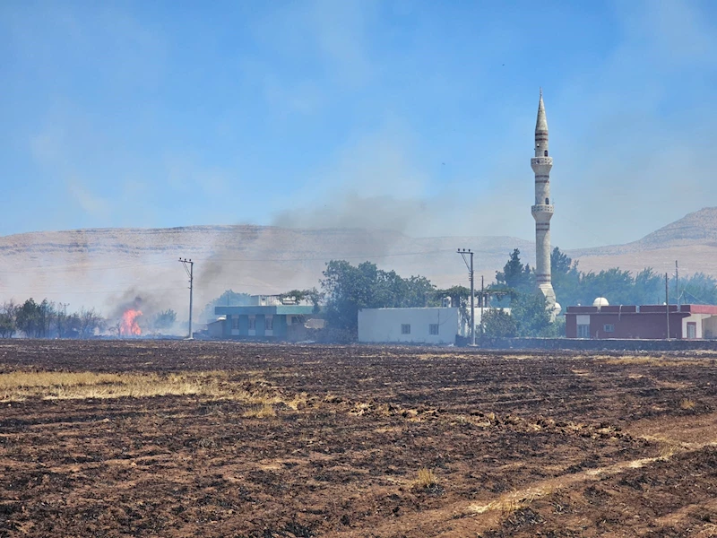 Mardin’in 5 ilçesinde anız ve örtü yangınları