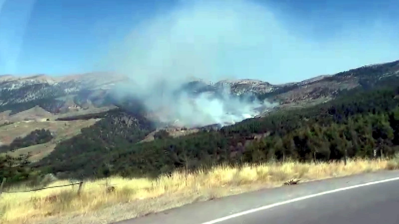 Kahramanmaraş’ta orman yangını