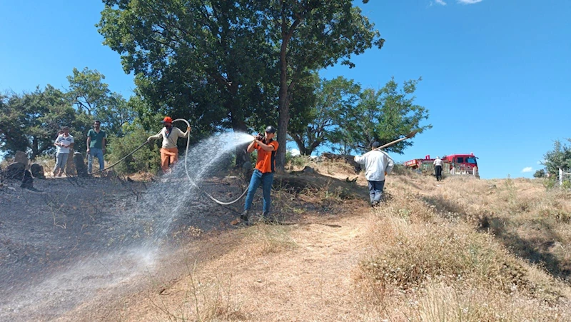 Bingöl’de çıkan örtü yangını, ormana sıçramadan söndürüldü