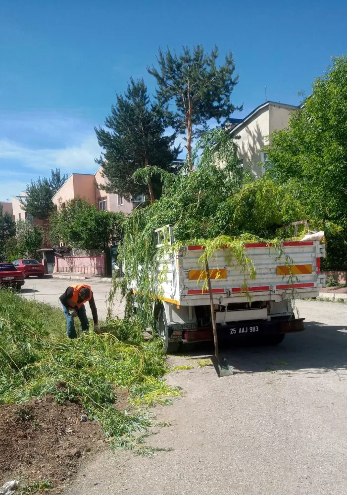 Aziziye Belediyesi, Şehir Estetiğini Yeniden Şekillendiriyor: Güzellik ve Çevre Bilinciyle Hizmette!