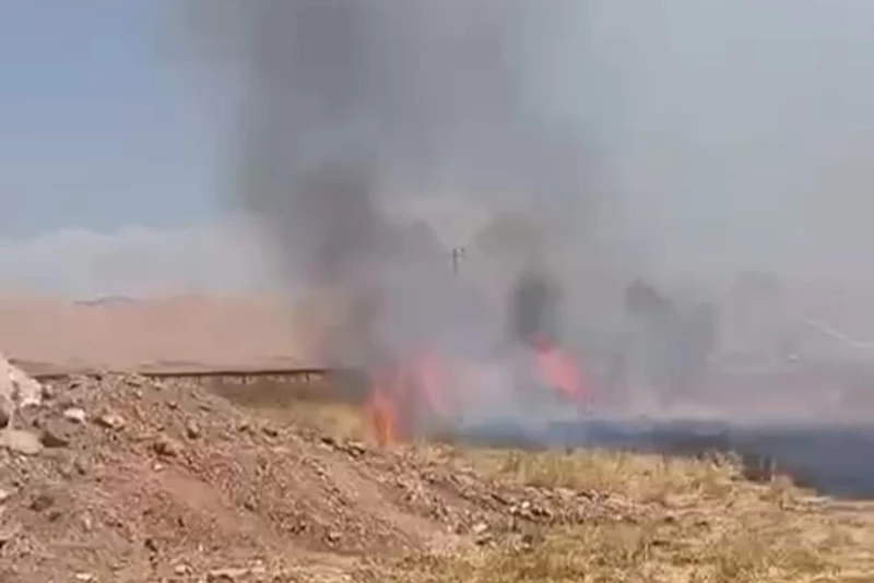 Suriye sınırında anız yangını