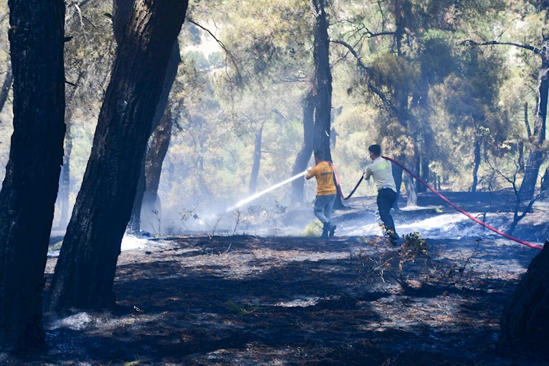 Balıkesir’deki orman yangını, 13 saatte kontrol altına alındı