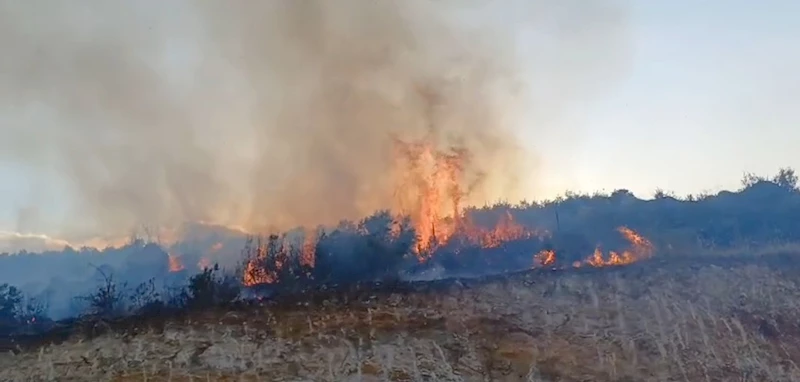 Gaziantep’te meşelik yangını