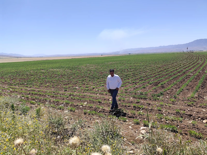 Silopi’ye ‘Sera Organize Tarım Bölgesi’ 