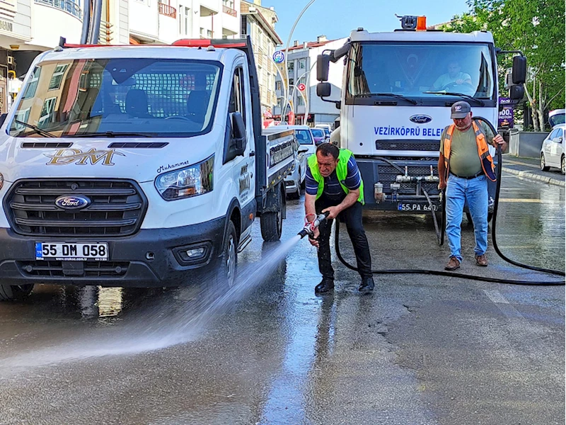 Vezirköprü Belediyesi park ve bahçelerde budama çalışması yapıyor