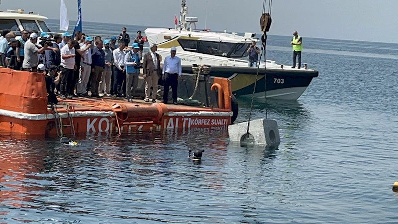 Biyoçeşitliliği artırmak için Marmara Denizi