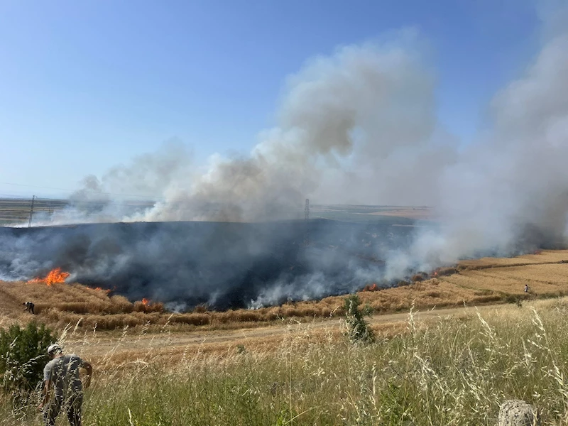 Edirne’de 110 dekar buğday ekili tarla yandı 