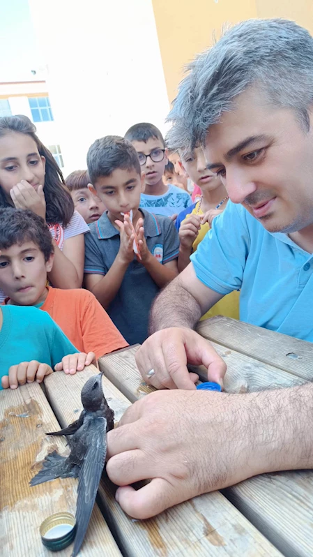 Bitkin halde bulunan ebabil tedavi edilip doğaya bırakıldı