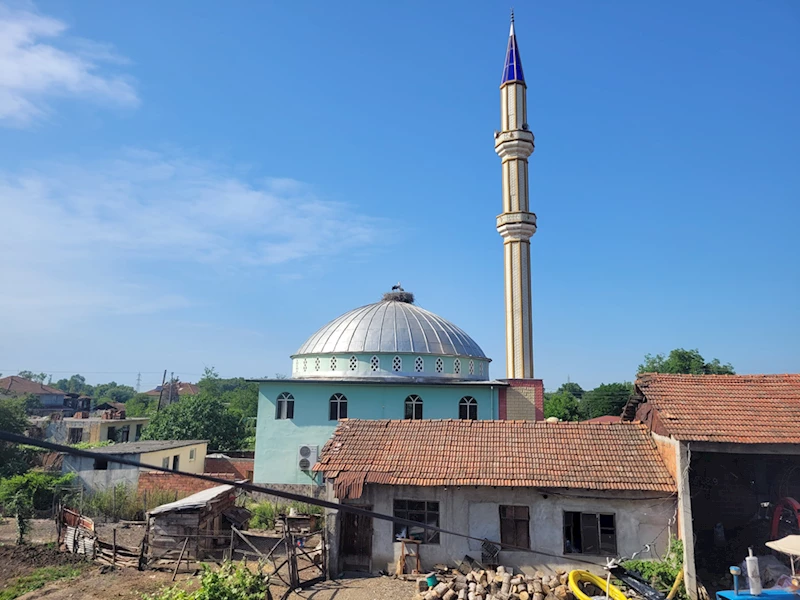 Cami kubbesi 12 yıldır leyleklere yuva oluyor 