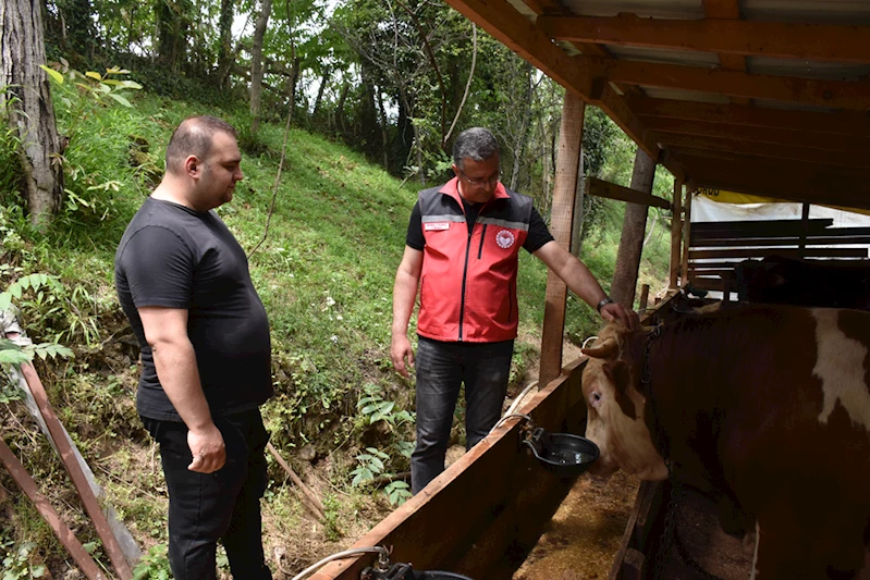 Ordu Tarım ve Orman Müdürü Yılmaz kurban kesimiyle ilgili tavsiyelerde bulundu: