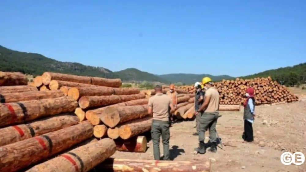 Bayındır Orman İşletme Müdürlüğü 10.000 M3 Orman Emvali İstifleme İşi İçin İhale Açtı!