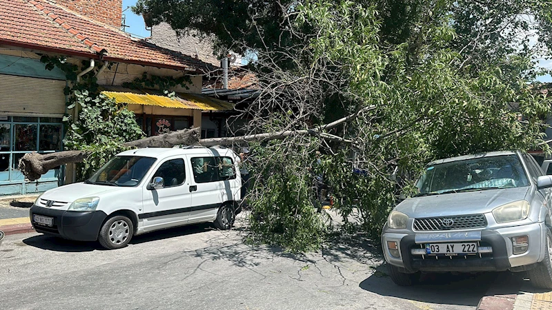 Kütahya’da ağaç 2 aracın üzerine devrildi