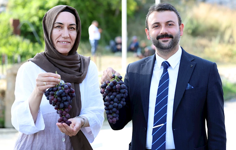 Geleneksel Esenli Üzüm Şenliği 21 Temmuz