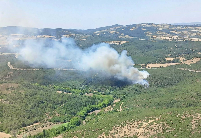 Balıkesir’de orman yangını