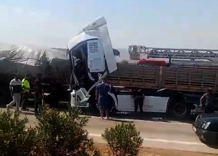 Anız yangını, zincirleme kazaya neden oldu: 1 ölü, 3 yaralı