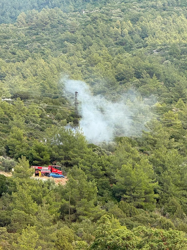 Bodrum’da ormanda çıkan korkutan yangın büyümeden söndürüldü