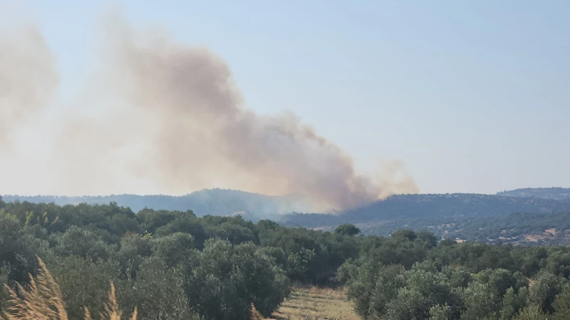 Çanakkale’de orman yangını