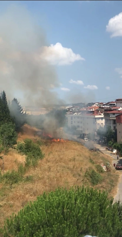 Sancaktepe’de otlukta çıkan yangın ormana sıçradı