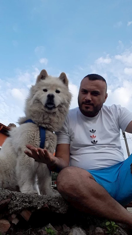 Köpeğinin zehirlenerek öldürüldüğü iddiasıyla şikayetçi oldu