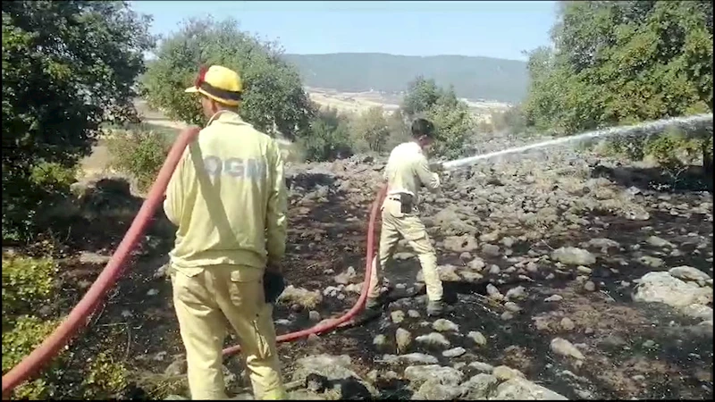 Kahramanmaraş’ta orman yangını (2)