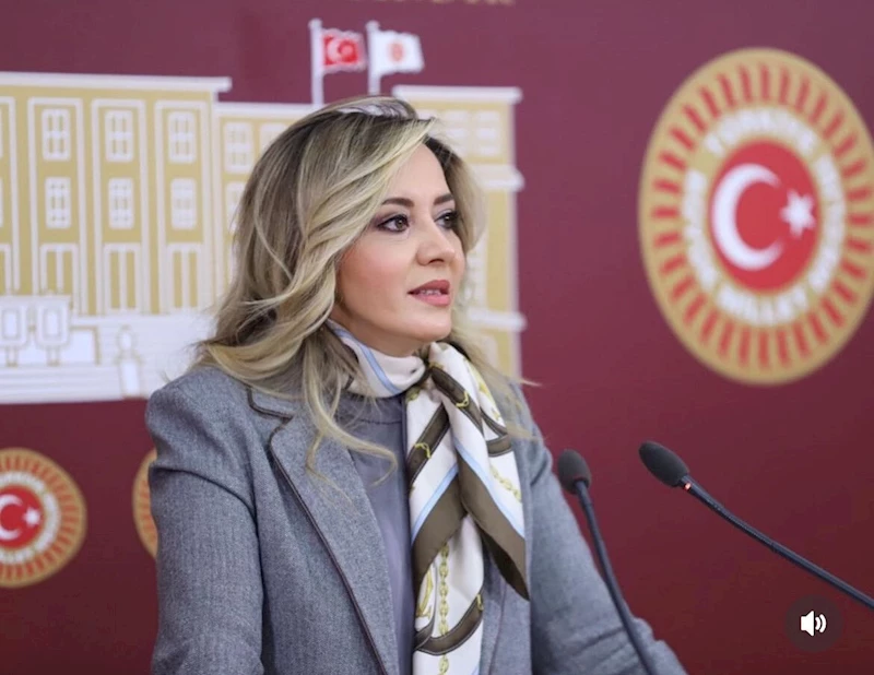 Aylin Cesur, İYİ Parti