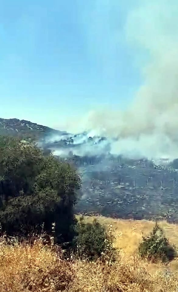 Kahramanmaraş’ta orman yangını