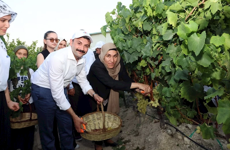 Esenli’de şenlik coşkusu