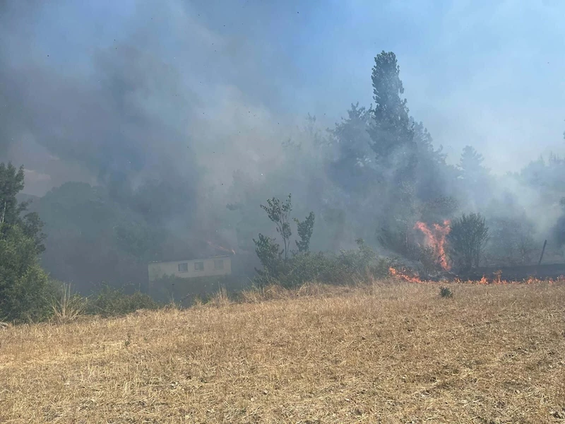 Evde çıkan yangın, bitişikteki ev, ahır ve ormana sıçradı (2)