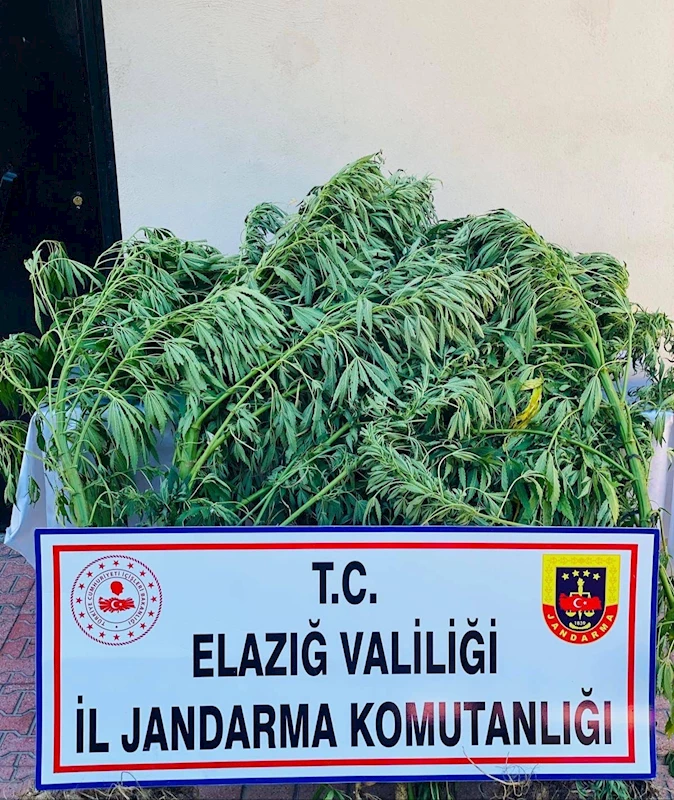 Elazığ