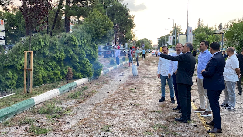 Osmaniye’de şiddetli fırtına çatıları uçurdu, ağaçları kökünden söktü